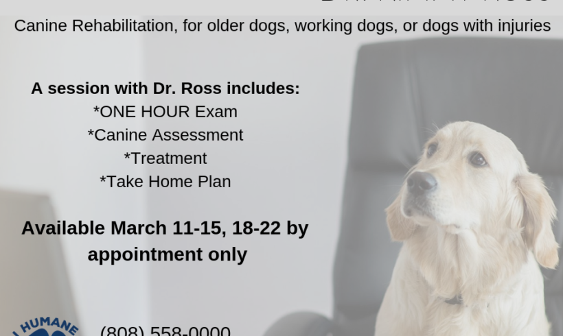 Canine Rehabilitaion with Dr. Kimmy Ross