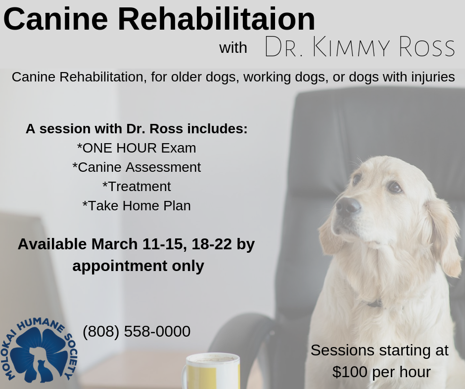 Canine Rehabilitaion